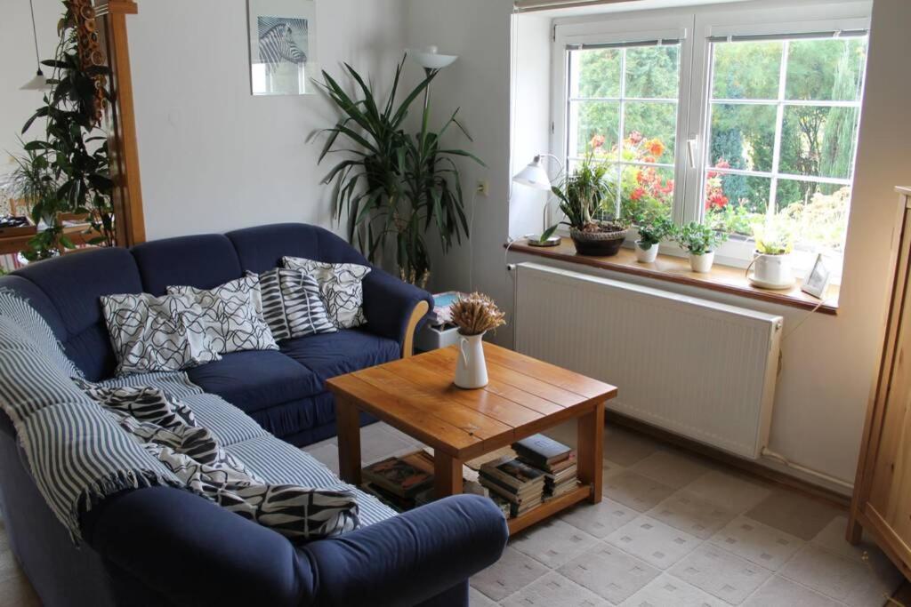 Krásný apartmán v bráně Lužických hor Cvikov Exteriér fotografie