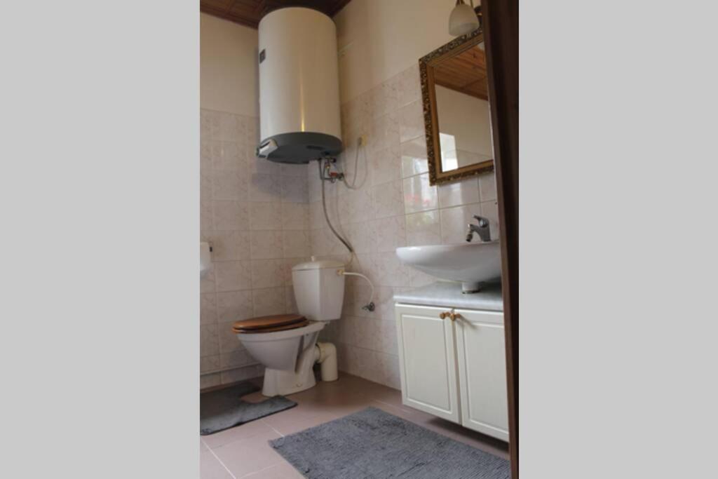 Krásný apartmán v bráně Lužických hor Cvikov Exteriér fotografie