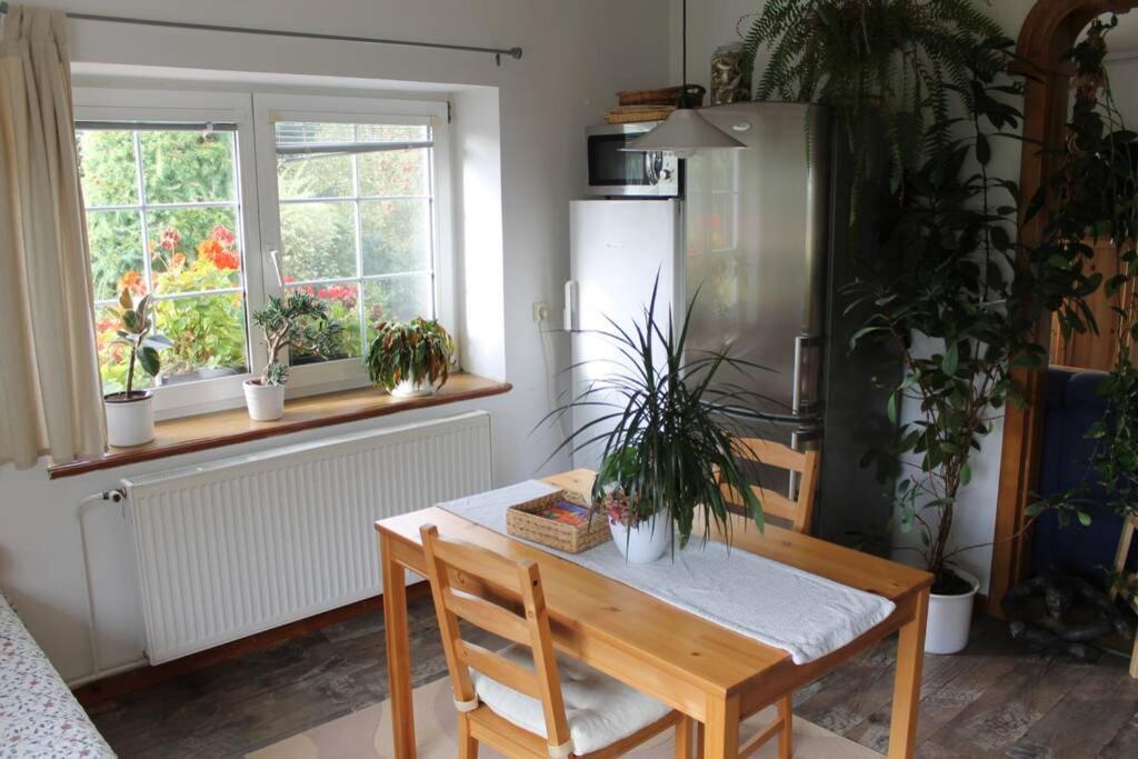 Krásný apartmán v bráně Lužických hor Cvikov Exteriér fotografie