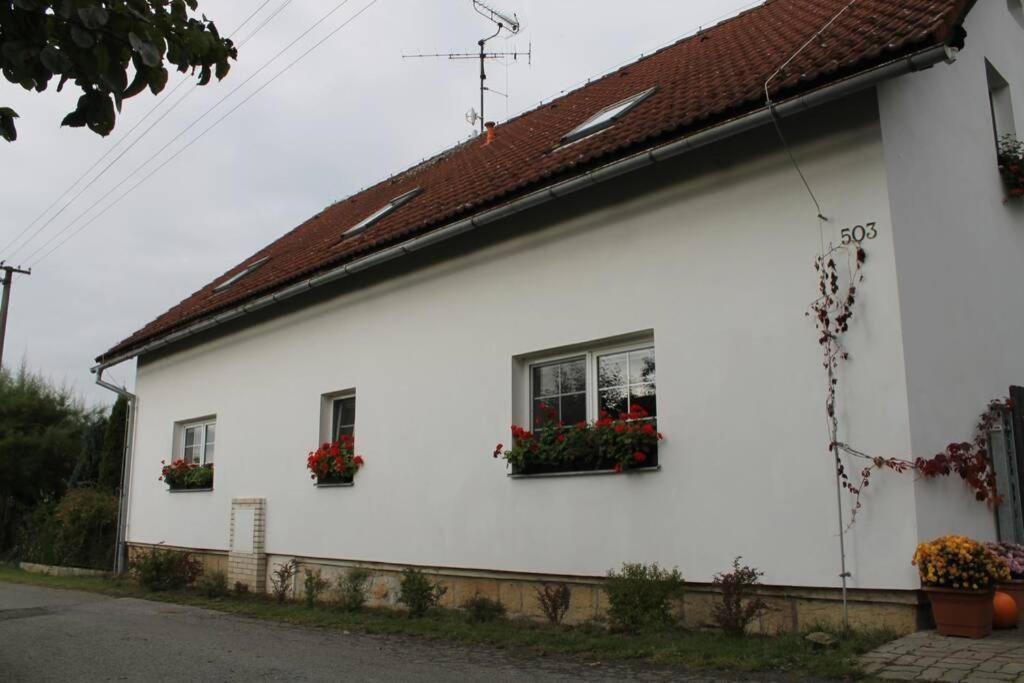 Krásný apartmán v bráně Lužických hor Cvikov Exteriér fotografie