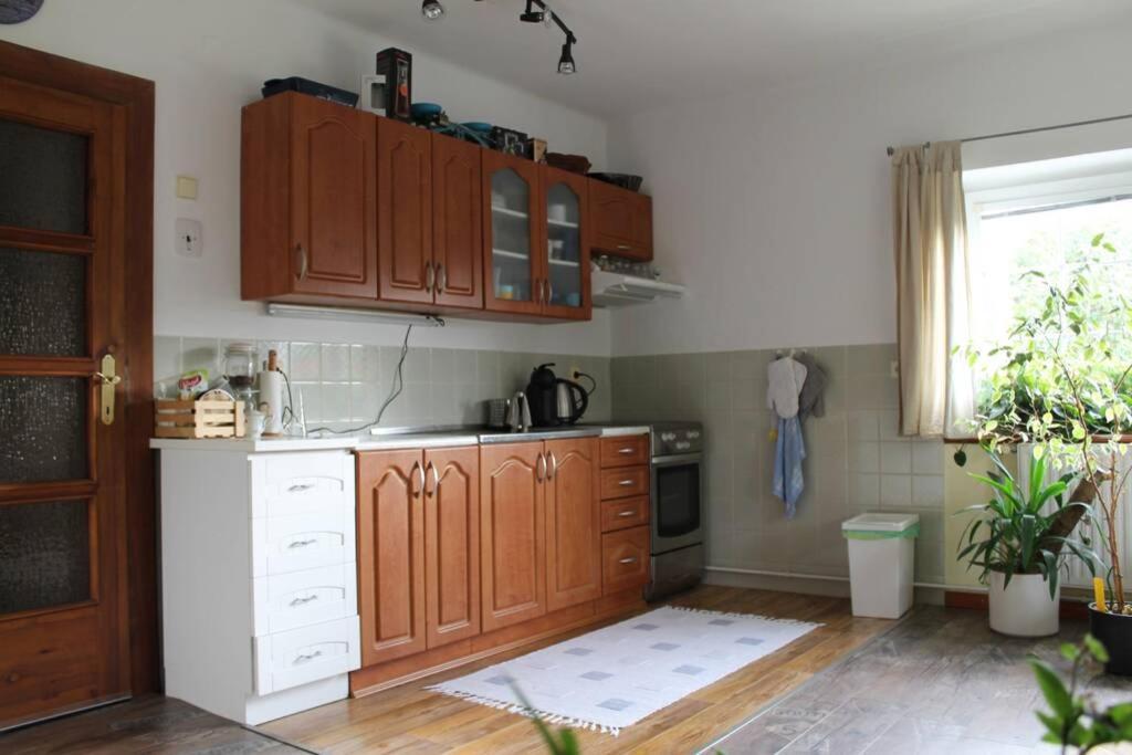 Krásný apartmán v bráně Lužických hor Cvikov Exteriér fotografie