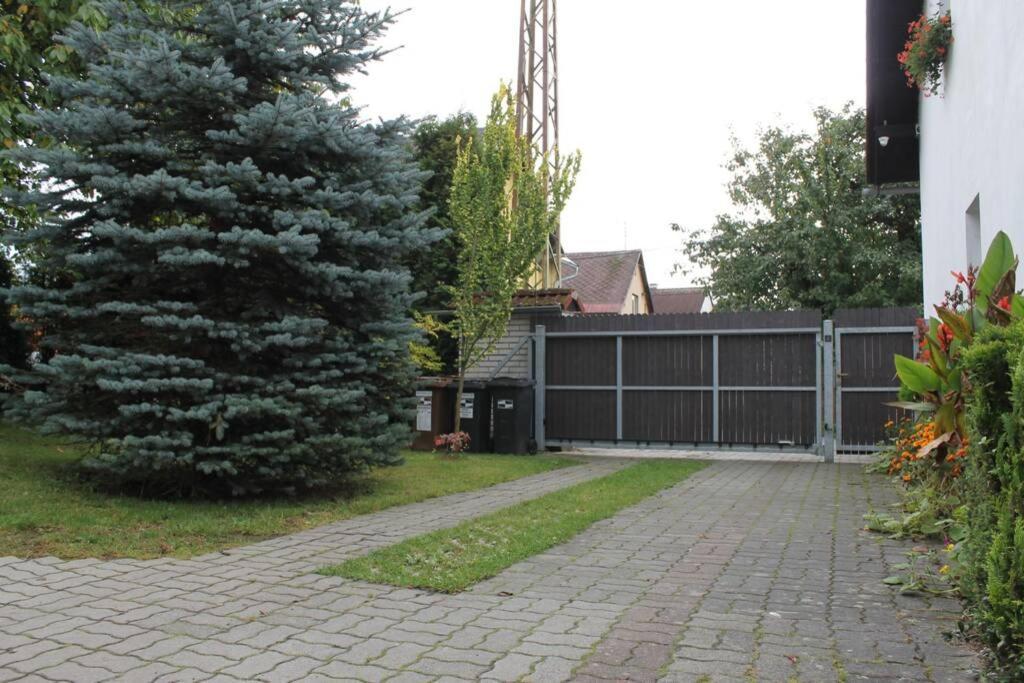 Krásný apartmán v bráně Lužických hor Cvikov Exteriér fotografie