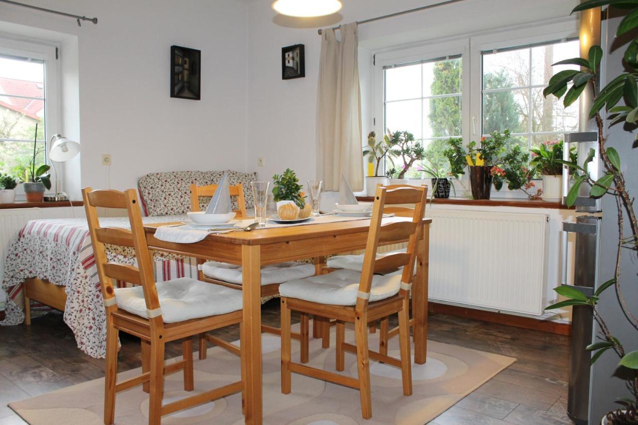 Krásný apartmán v bráně Lužických hor Cvikov Exteriér fotografie