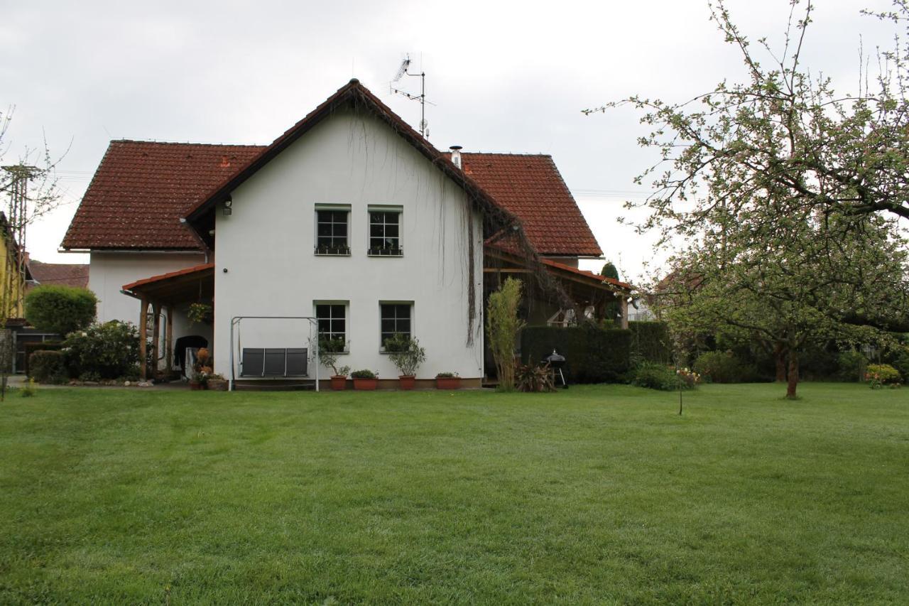 Krásný apartmán v bráně Lužických hor Cvikov Exteriér fotografie