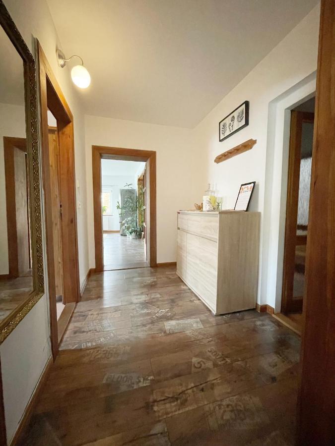 Krásný apartmán v bráně Lužických hor Cvikov Exteriér fotografie